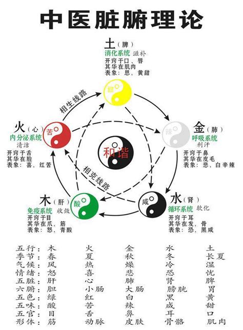 陰陽合和|中醫基礎/氣一元論、陰陽學說、五行學說的關係